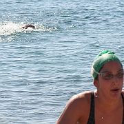 מים פתוחים אילת נובמבר 2008 214